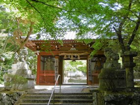 f:id:yamamayuga:20200501001215j:plain