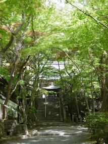 f:id:yamamayuga:20200501001256j:plain
