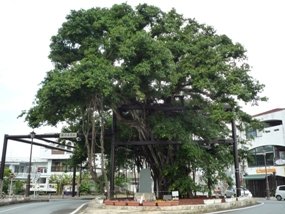 f:id:yamamayuga:20200517001231j:plain