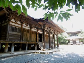 f:id:yamamayuga:20200524012918j:plain
