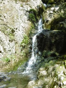f:id:yamamayuga:20200524013050j:plain