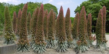 f:id:yamamayuga:20200528024727j:plain f:id:yamamayuga:20200528024727j:plain