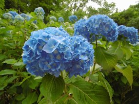 f:id:yamamayuga:20200601013344j:plain f:id:yamamayuga:20200601013344j:plain