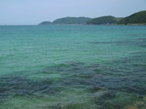 f:id:yamamayuga:20200605002000j:plain f:id:yamamayuga:20200605002000j:plain