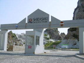 f:id:yamamayuga:20200607000429j:plain