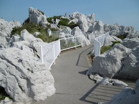 f:id:yamamayuga:20200607000446j:plain