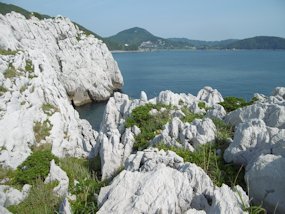 f:id:yamamayuga:20200607000523j:plain