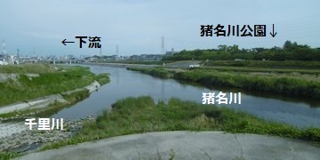 f:id:yamamayuga:20200609010718j:plain