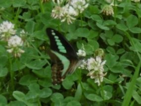 f:id:yamamayuga:20200625000631j:plain f:id:yamamayuga:20200625000631j:plain
