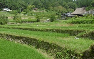 f:id:yamamayuga:20200707002148j:plain