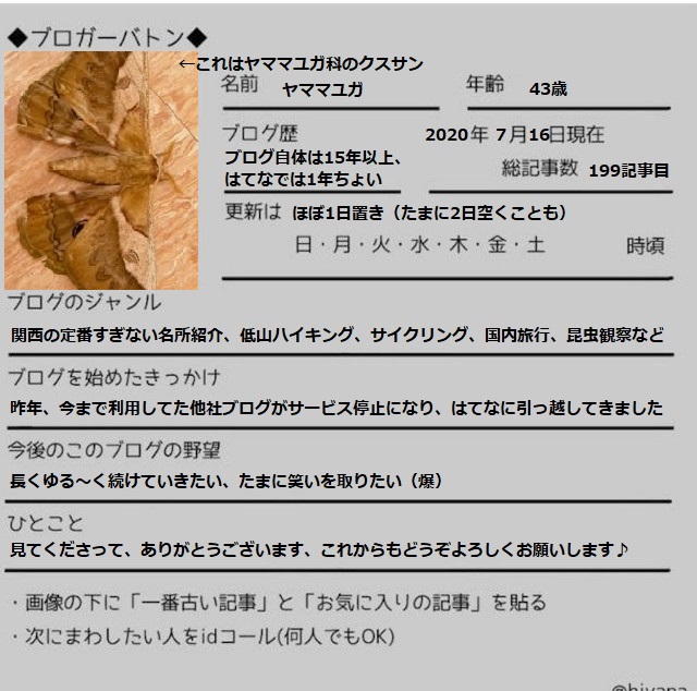 f:id:yamamayuga:20200716020818j:plain f:id:yamamayuga:20200716020818j:plain