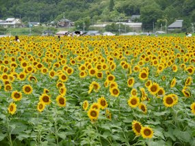 f:id:yamamayuga:20200726040731j:plain f:id:yamamayuga:20200726040731j:plain
