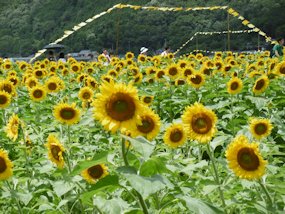 f:id:yamamayuga:20200726040747j:plain f:id:yamamayuga:20200726040747j:plain