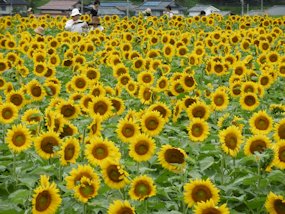f:id:yamamayuga:20200726041000j:plain f:id:yamamayuga:20200726041000j:plain