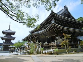 f:id:yamamayuga:20200731000335j:plain