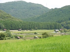 f:id:yamamayuga:20200731000504j:plain