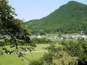 f:id:yamamayuga:20200731000518j:plain