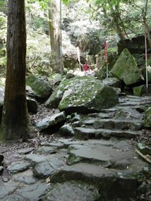 f:id:yamamayuga:20200802052453j:plain f:id:yamamayuga:20200802052453j:plain