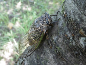 f:id:yamamayuga:20200808030437j:plain f:id:yamamayuga:20200808030437j:plain