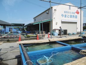 f:id:yamamayuga:20200810020958j:plain f:id:yamamayuga:20200810020958j:plain
