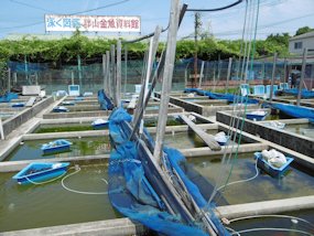 f:id:yamamayuga:20200810021013j:plain f:id:yamamayuga:20200810021013j:plain