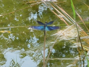 f:id:yamamayuga:20200821001056j:plain f:id:yamamayuga:20200821001056j:plain
