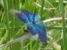 f:id:yamamayuga:20200821001107j:plain f:id:yamamayuga:20200821001107j:plain
