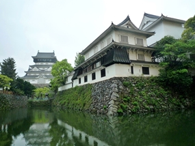 f:id:yamamayuga:20200829001658j:plain