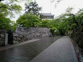 f:id:yamamayuga:20200829001730j:plain