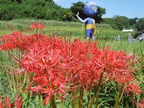 f:id:yamamayuga:20200923002520j:plain f:id:yamamayuga:20200923002520j:plain