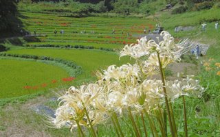 f:id:yamamayuga:20200923002609j:plain f:id:yamamayuga:20200923002609j:plain