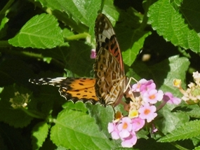 f:id:yamamayuga:20200925005830j:plain f:id:yamamayuga:20200925005830j:plain