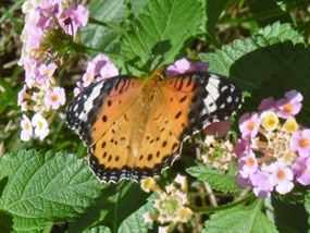f:id:yamamayuga:20200925010140j:plain f:id:yamamayuga:20200925010140j:plain