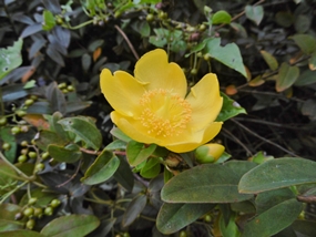 f:id:yamamayuga:20201021000229j:plain
