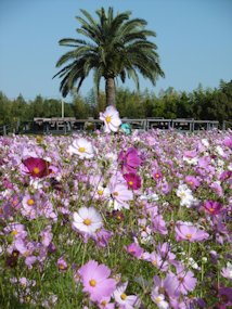 f:id:yamamayuga:20201026013721j:plain f:id:yamamayuga:20201026013721j:plain