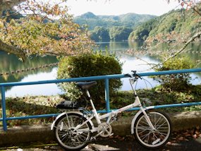 f:id:yamamayuga:20201028001629j:plain f:id:yamamayuga:20201028001629j:plain