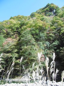 f:id:yamamayuga:20201028001701j:plain f:id:yamamayuga:20201028001701j:plain