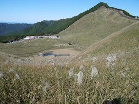 f:id:yamamayuga:20201030005411j:plain