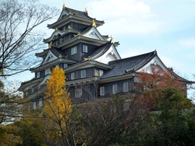 f:id:yamamayuga:20201102001838j:plain