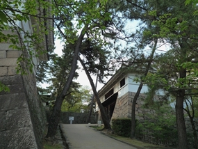 f:id:yamamayuga:20201102002016j:plain