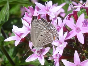 f:id:yamamayuga:20201104013920j:plain f:id:yamamayuga:20201104013920j:plain