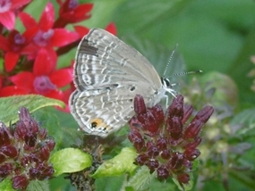 f:id:yamamayuga:20201104013948j:plain f:id:yamamayuga:20201104013948j:plain