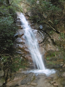 f:id:yamamayuga:20201107004832j:plain f:id:yamamayuga:20201107004832j:plain