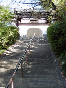 f:id:yamamayuga:20201112002640j:plain