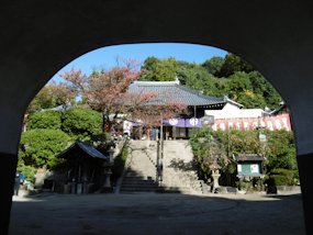 f:id:yamamayuga:20201112002651j:plain