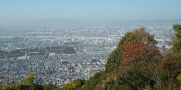 f:id:yamamayuga:20201112002805j:plain