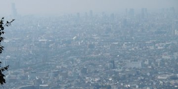 f:id:yamamayuga:20201112002823j:plain