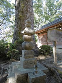 f:id:yamamayuga:20201114022832j:plain