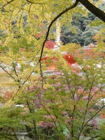 f:id:yamamayuga:20201120052210j:plain