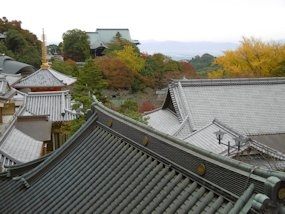 f:id:yamamayuga:20201120052225j:plain